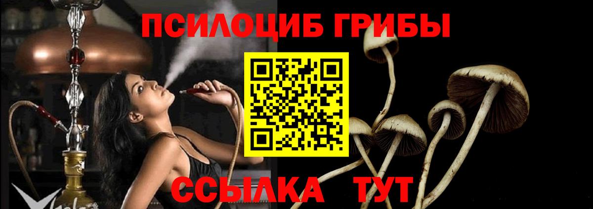 закладка  Галлюциногенные грибы Cubensis  Вход с VPN  Горно-Алтайск 